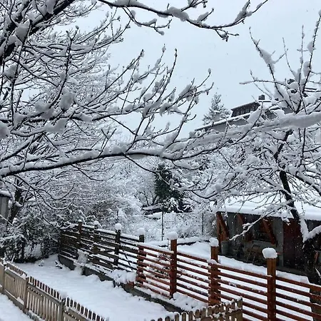 Borgo Nuovo Charming Apartamento